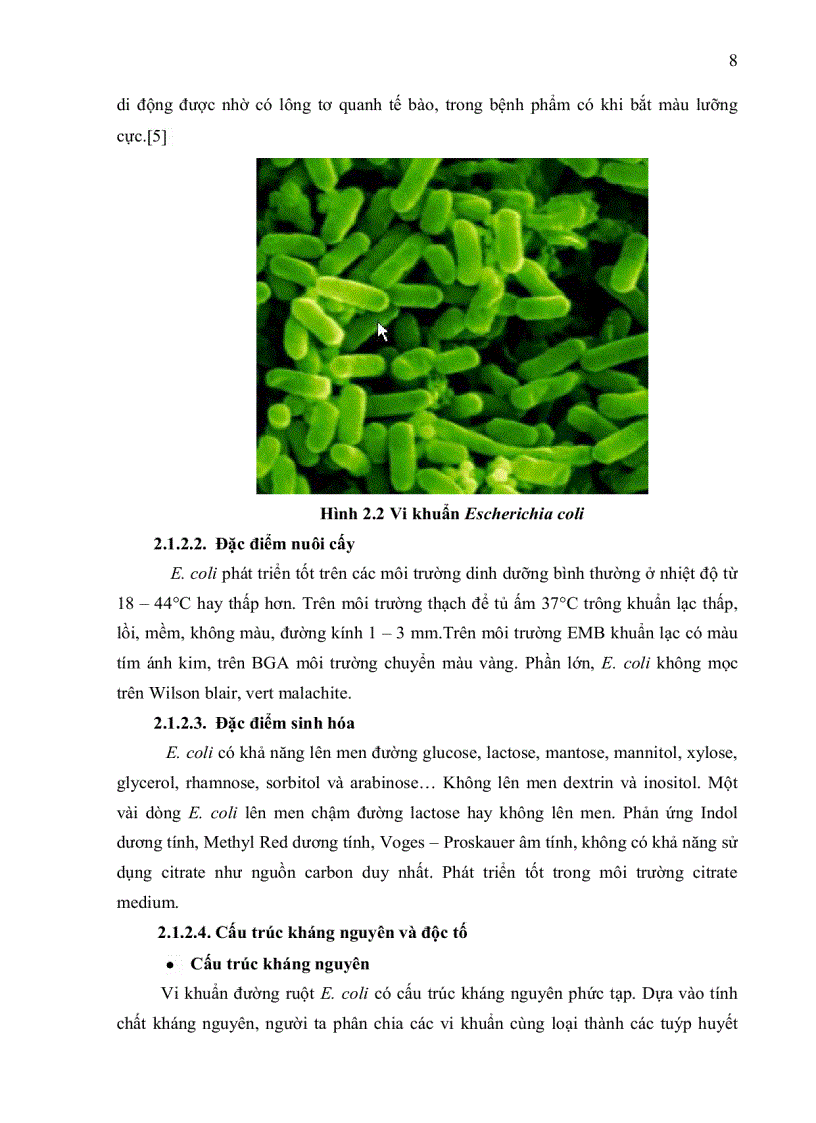 image for page KHẢO SÁT TỈ LỆ NHIỄM Staphylococcus aureus VÀ Escherichia coli TRONG THỰC PHẨM TẠI KHU VỰC CHỢ THỊ NGHÈ