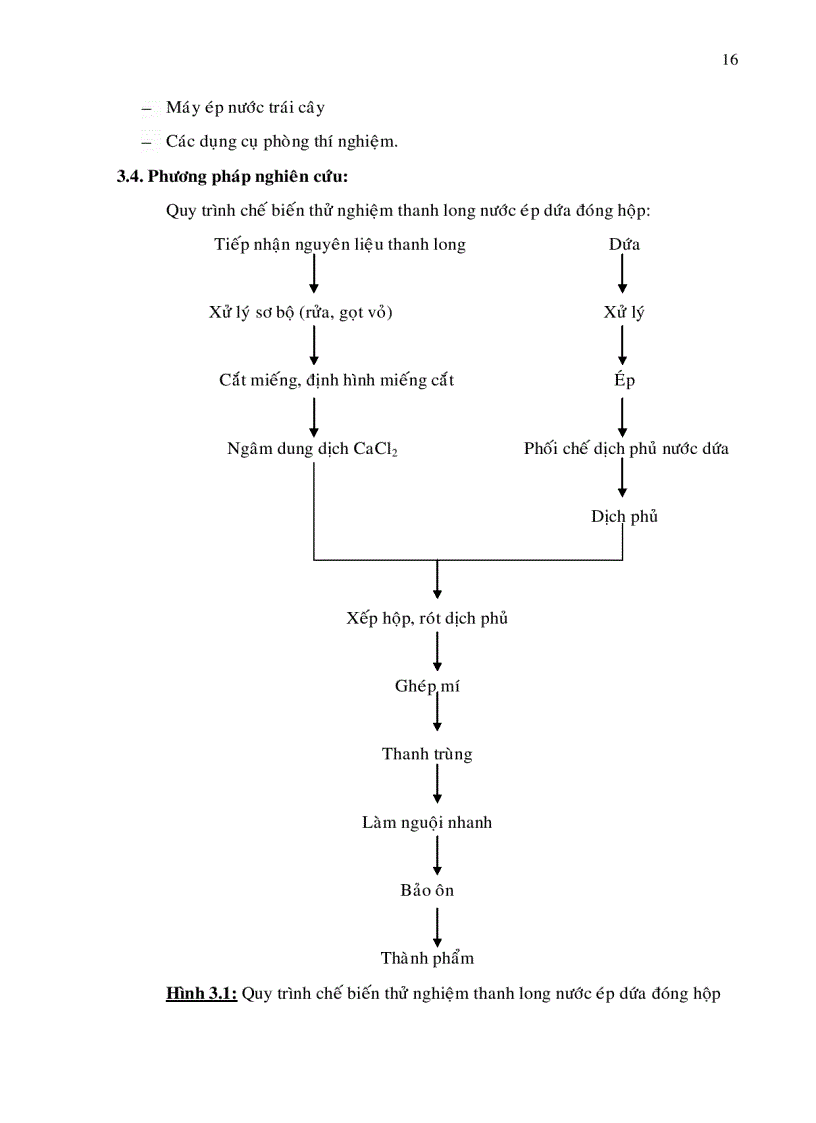 image for page Khảo sát quy trình chế biến thanh long nước ép dứa đóng hộp
