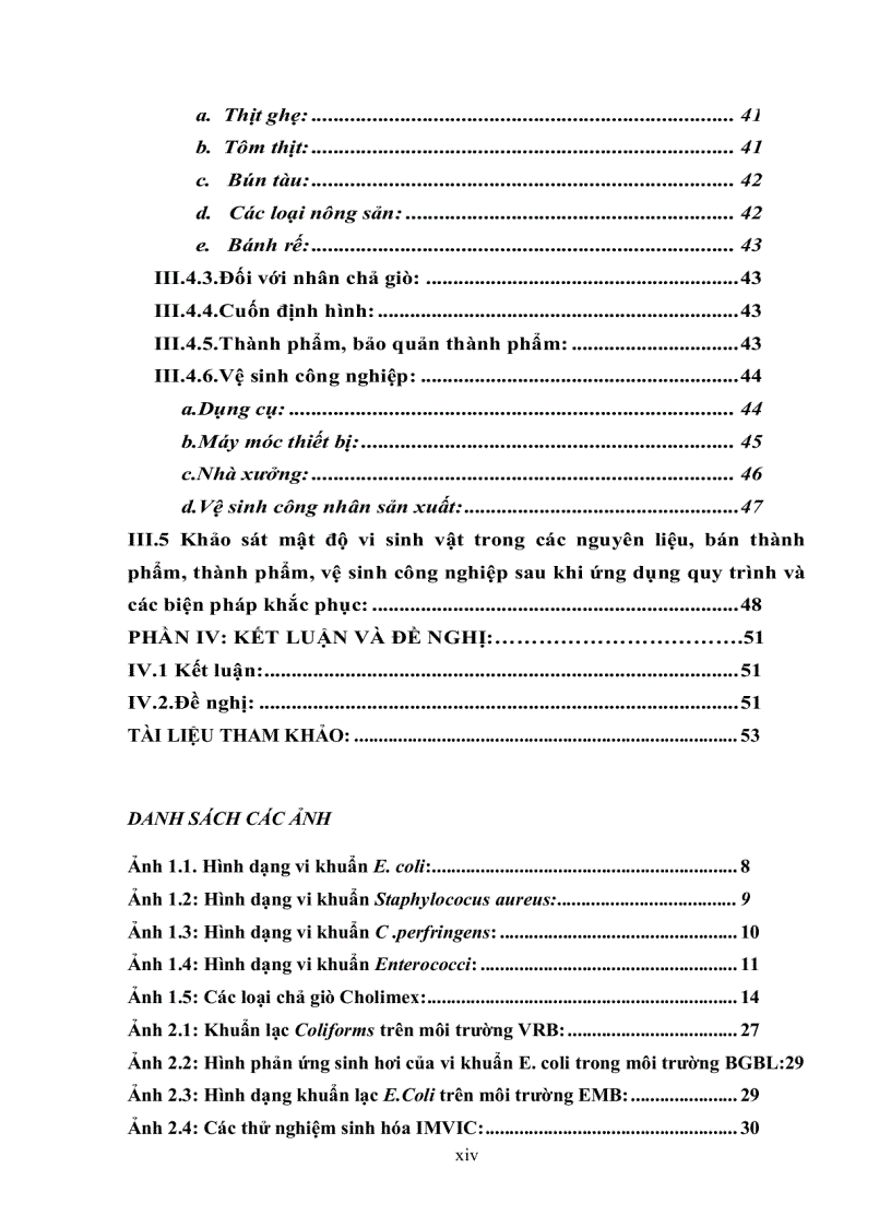 image for page Khảo sát tìm nguyên nhân nhiễm vi sinh vật trong sản phẩm chả giò chế biến tại cholimex đề xuất biện pháp khắc phục