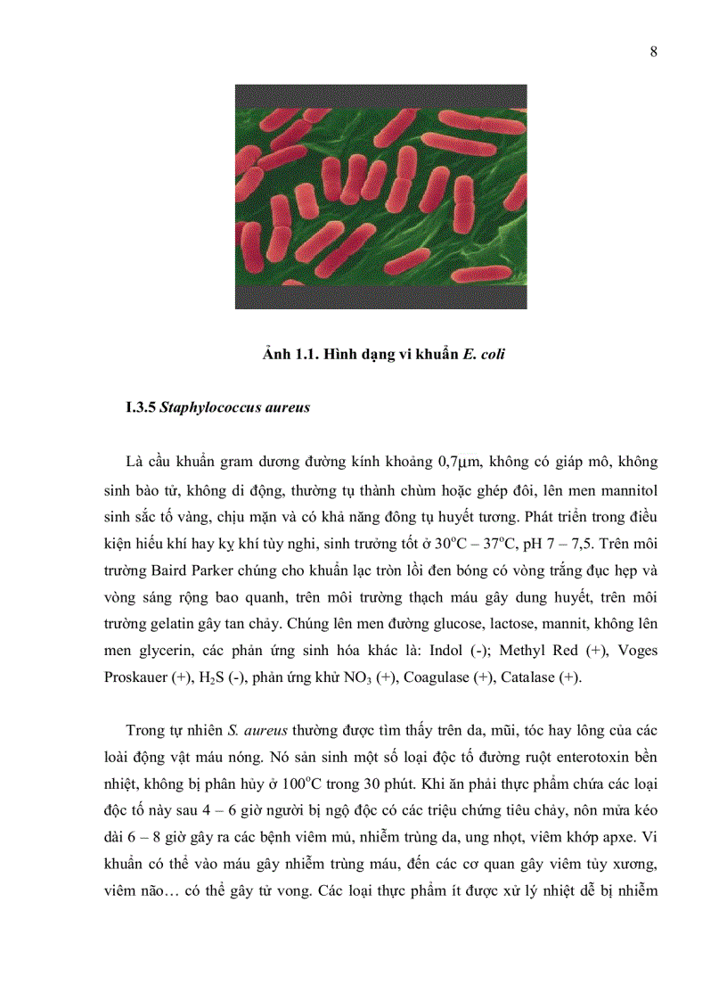 image for page Khảo sát tìm nguyên nhân nhiễm vi sinh vật trong sản phẩm chả giò chế biến tại cholimex đề xuất biện pháp khắc phục