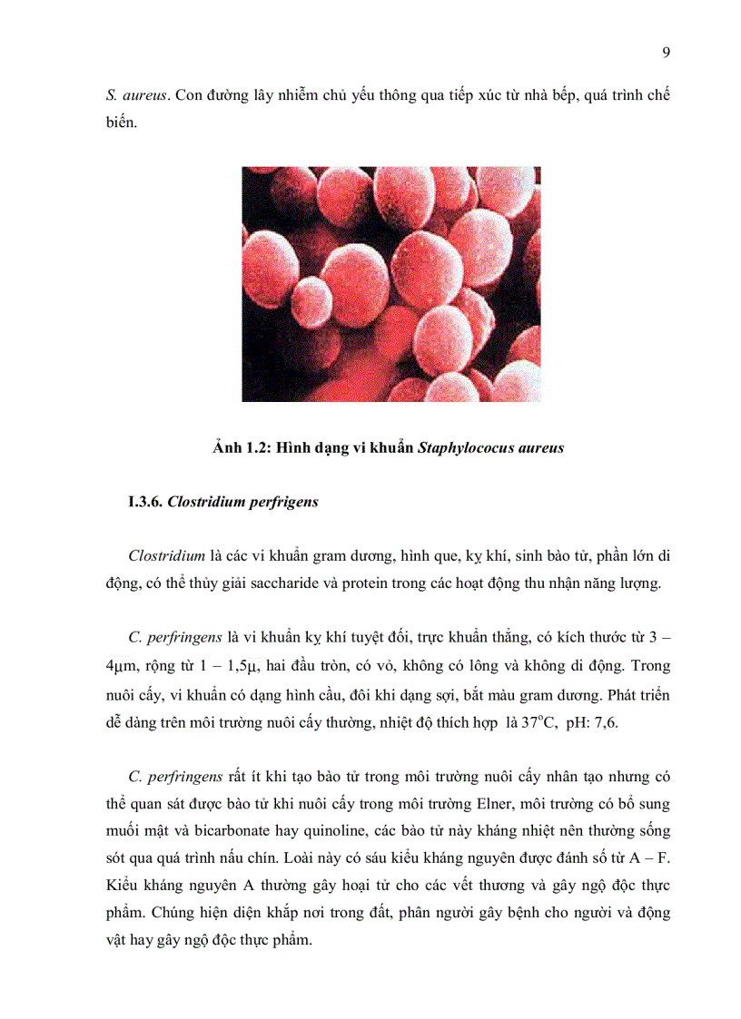 image for page Khảo sát tìm nguyên nhân nhiễm vi sinh vật trong sản phẩm chả giò chế biến tại cholimex đề xuất biện pháp khắc phục