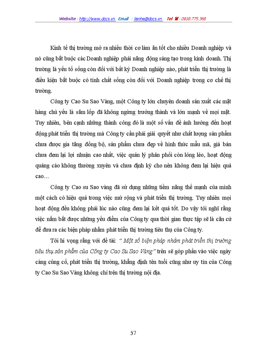 image for page Một số biện pháp nhằm phát triển thị trường tiêu thụ sản phẩm của Công ty Cao Su Sao Vàng