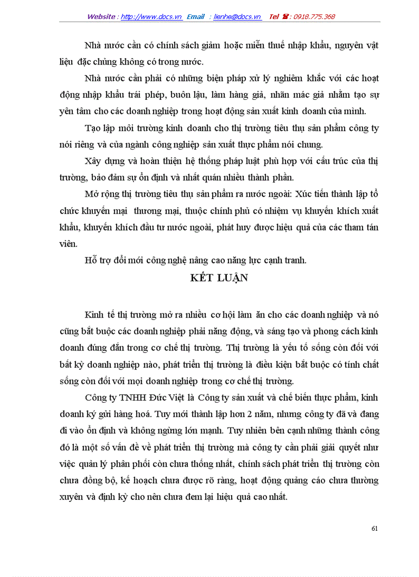 image for page Một số giải pháp nhằm phát triển thị trường tiêu thụ sản phẩm của Công ty TNHH sản xuất thương mại dich vụ Đức Việt