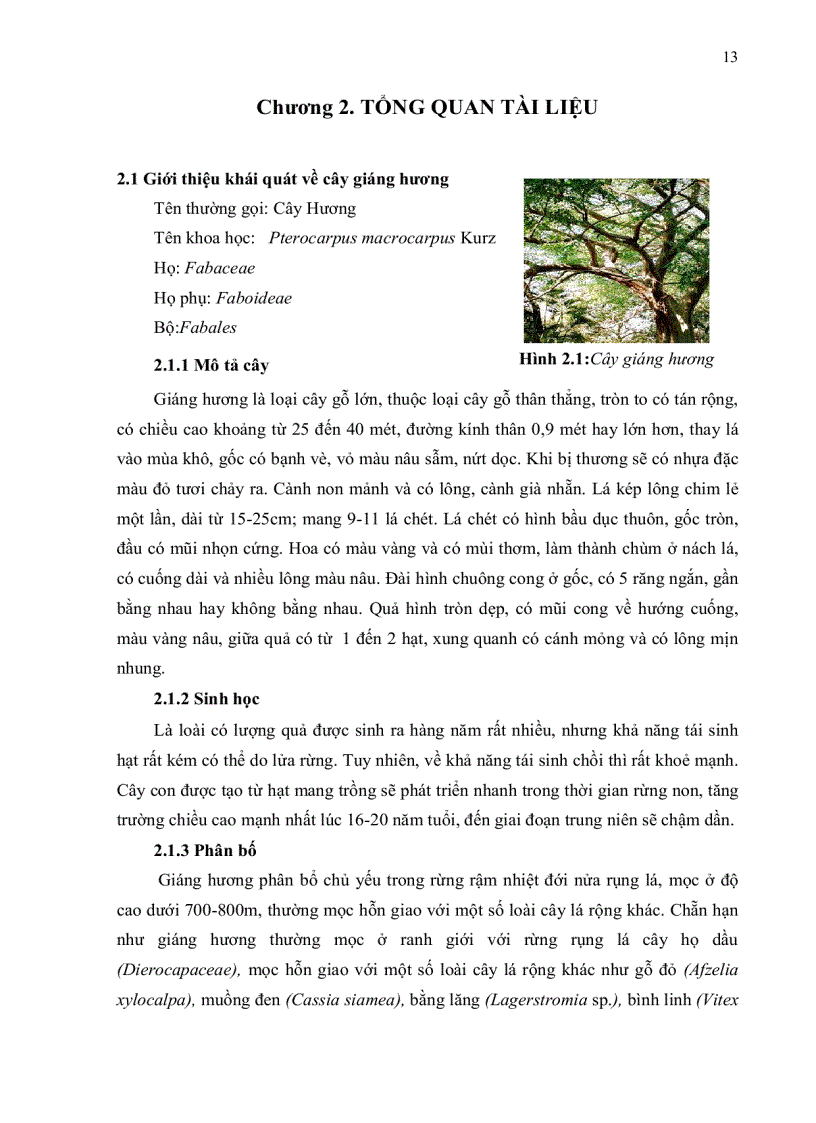 image for page Nhân giống in vitro cây giáng hương