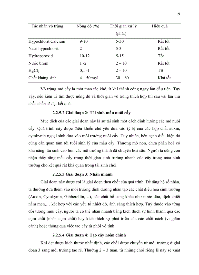 image for page Nhân giống in vitro cây giáng hương