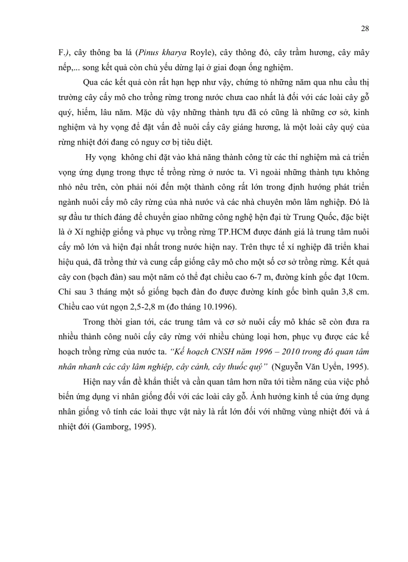 image for page Nhân giống in vitro cây giáng hương