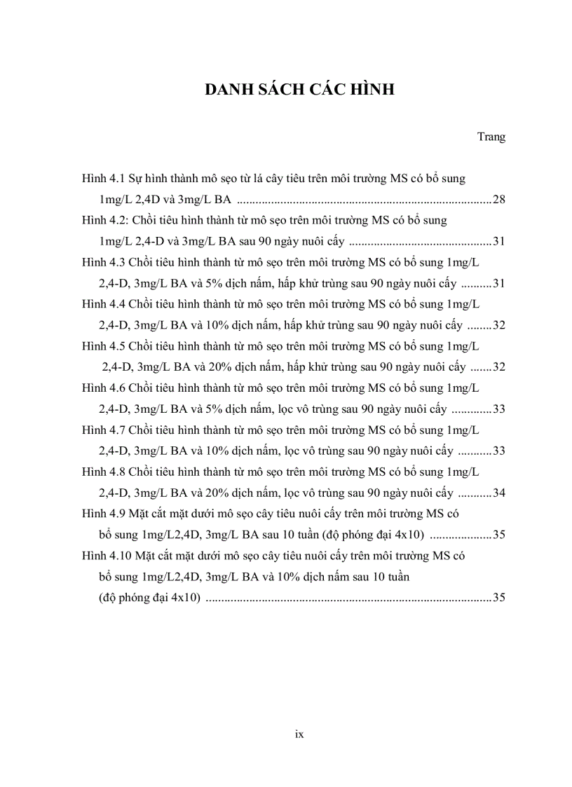 image for page BƯỚC ĐẦU TẠO CÂY TIÊU IN VITRO KHÁNG NẤM Phytophthora sp