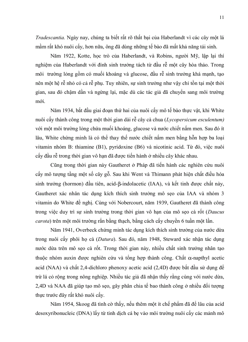image for page BƯỚC ĐẦU TẠO CÂY TIÊU IN VITRO KHÁNG NẤM Phytophthora sp