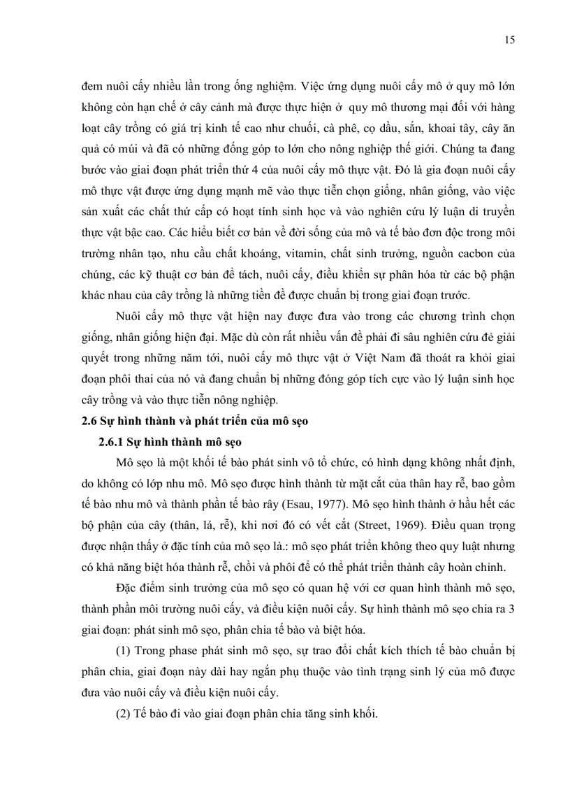 image for page BƯỚC ĐẦU TẠO CÂY TIÊU IN VITRO KHÁNG NẤM Phytophthora sp