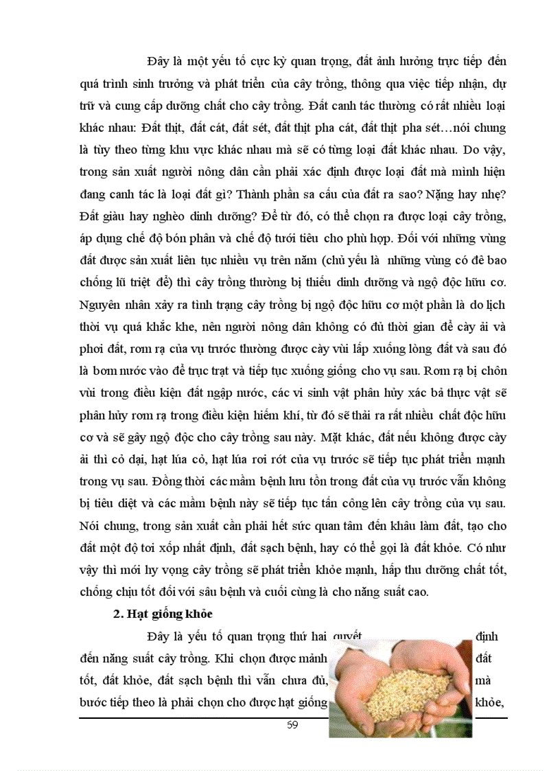 image for page Một số giải pháp nâng cao lợi nhuận cho vùng lúa chất lượng cao tại phường mỹ hòa long xuyên an giang