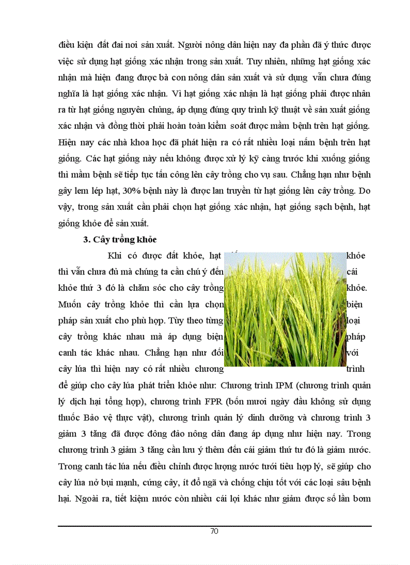 image for page Một số giải pháp nâng cao lợi nhuận cho vùng lúa chất lượng cao tại phường mỹ hòa long xuyên an giang