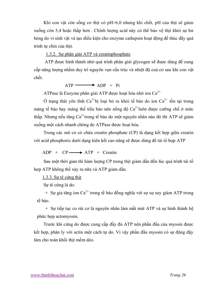 image for page Quy trình công nghệ sản xuất chả giò nhân thịt thực tập tại Cty Cổ Phần Chế Biến Hàng Xuất Khẩu Cầu Tre
