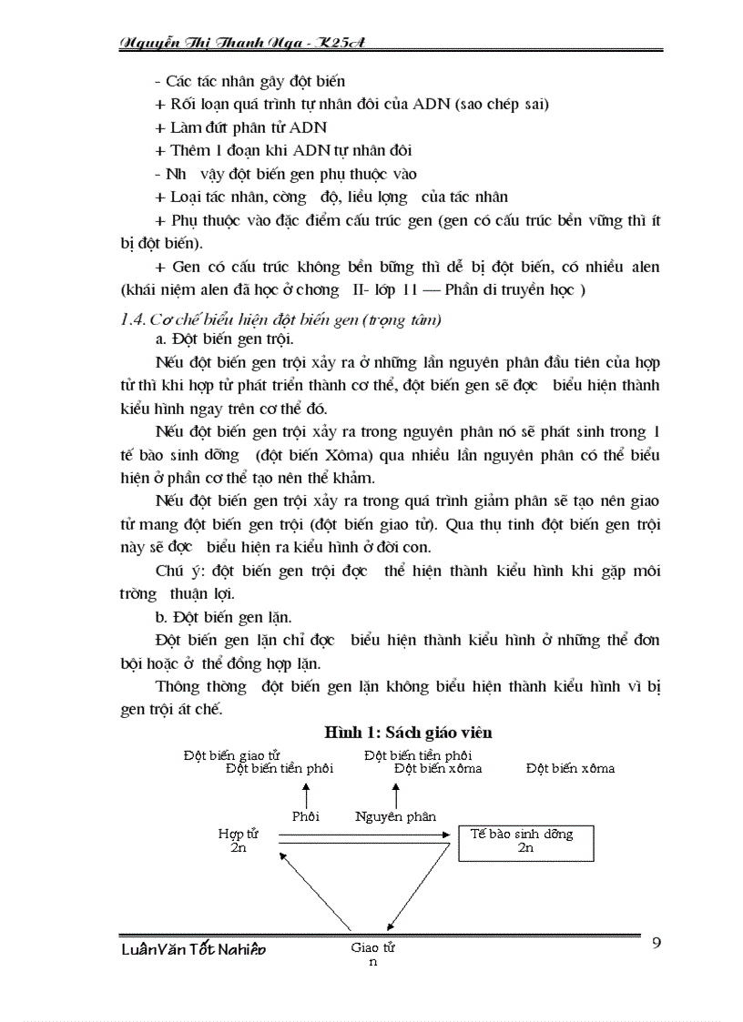image for page Phân tích nội dung xây dựng bài giảng theo hướng lấy trò làm trung tâm nhằm nâng cao chất lượng bài giảng chương III Biến dị