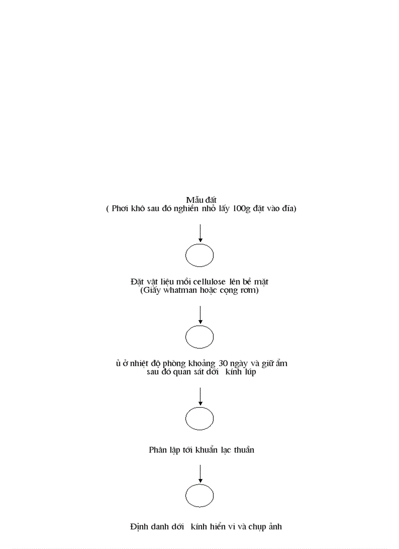 image for page Một số kỹ thuật phân lập nấm bệnh và nấm đối kháng