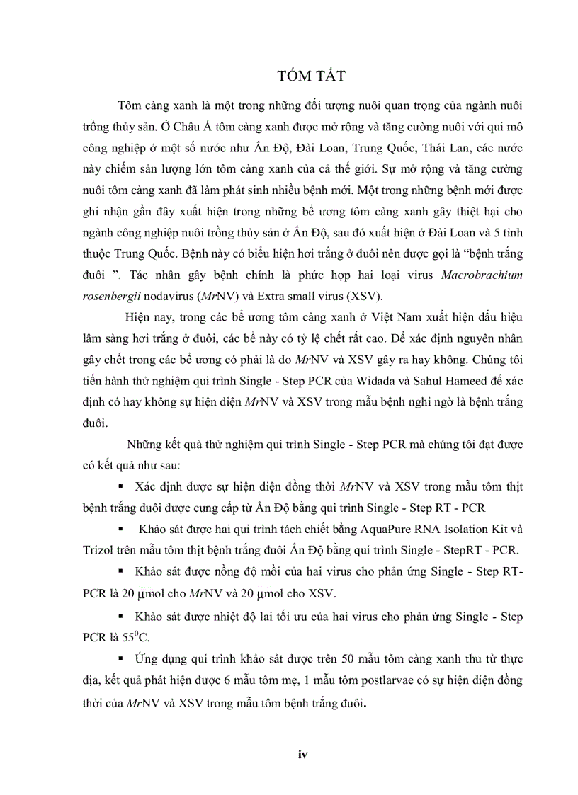 image for page ỨNG DỤNG KỸ THUẬT RT PCR XÁC ĐỊNH Macrobrachium rosenbergii NODAVIRUS MrNV VÀ EXTRA SMALL VIRUS XSV TRÊN TÔM CÀNG XANH Macrobrachium rosenbergii
