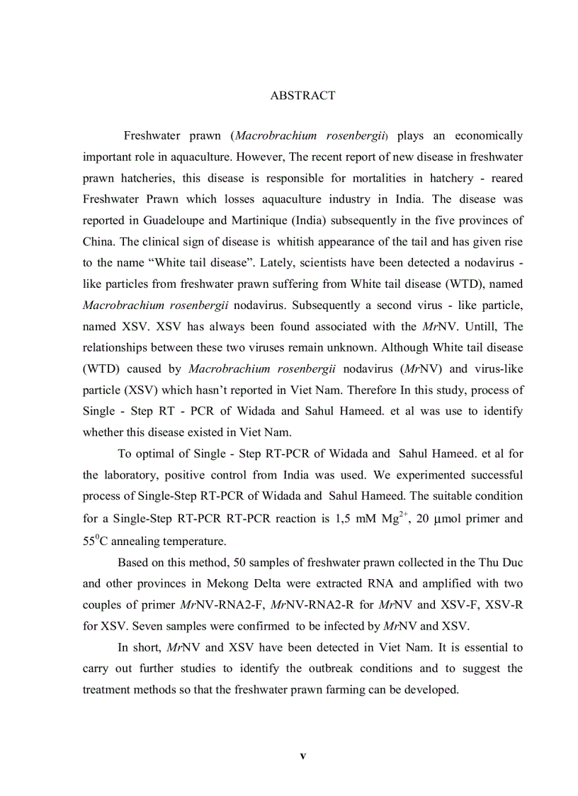 image for page ỨNG DỤNG KỸ THUẬT RT PCR XÁC ĐỊNH Macrobrachium rosenbergii NODAVIRUS MrNV VÀ EXTRA SMALL VIRUS XSV TRÊN TÔM CÀNG XANH Macrobrachium rosenbergii