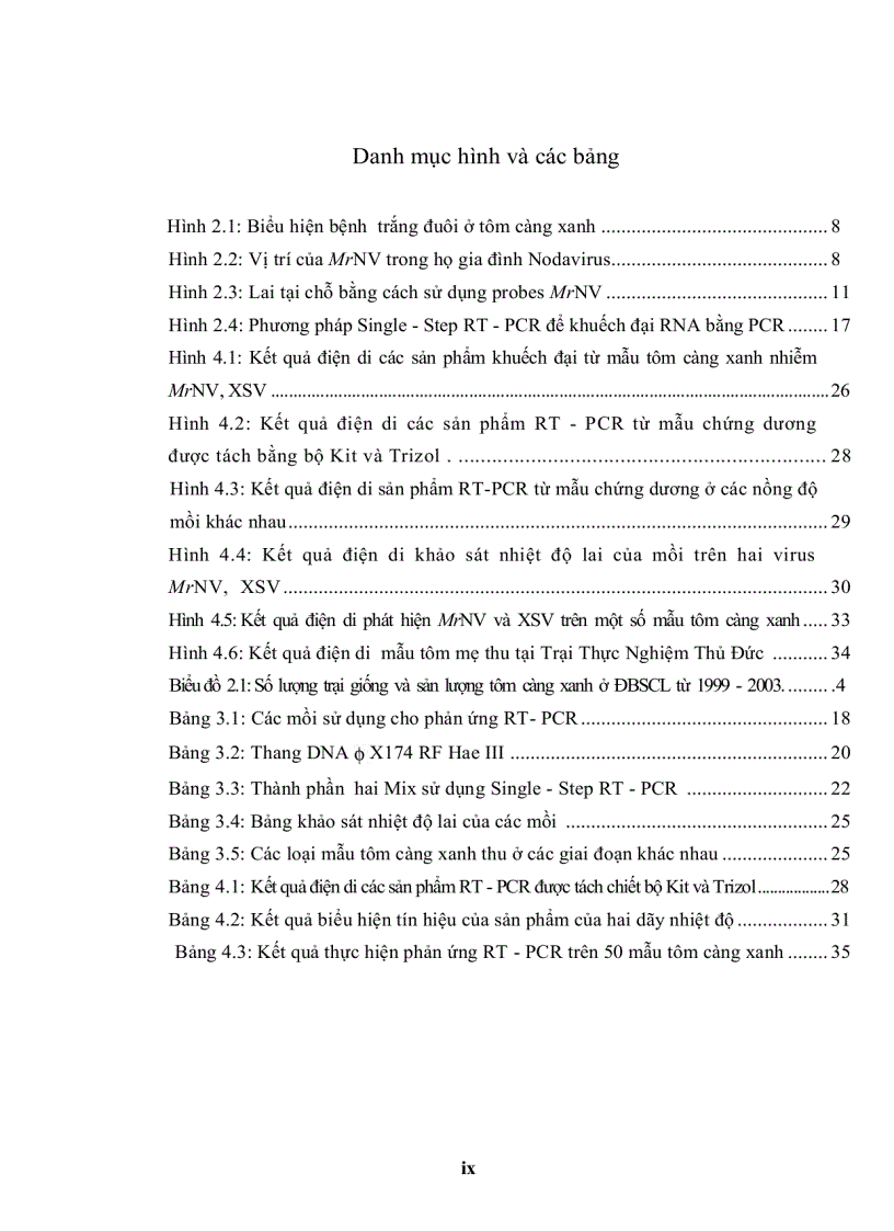 image for page ỨNG DỤNG KỸ THUẬT RT PCR XÁC ĐỊNH Macrobrachium rosenbergii NODAVIRUS MrNV VÀ EXTRA SMALL VIRUS XSV TRÊN TÔM CÀNG XANH Macrobrachium rosenbergii