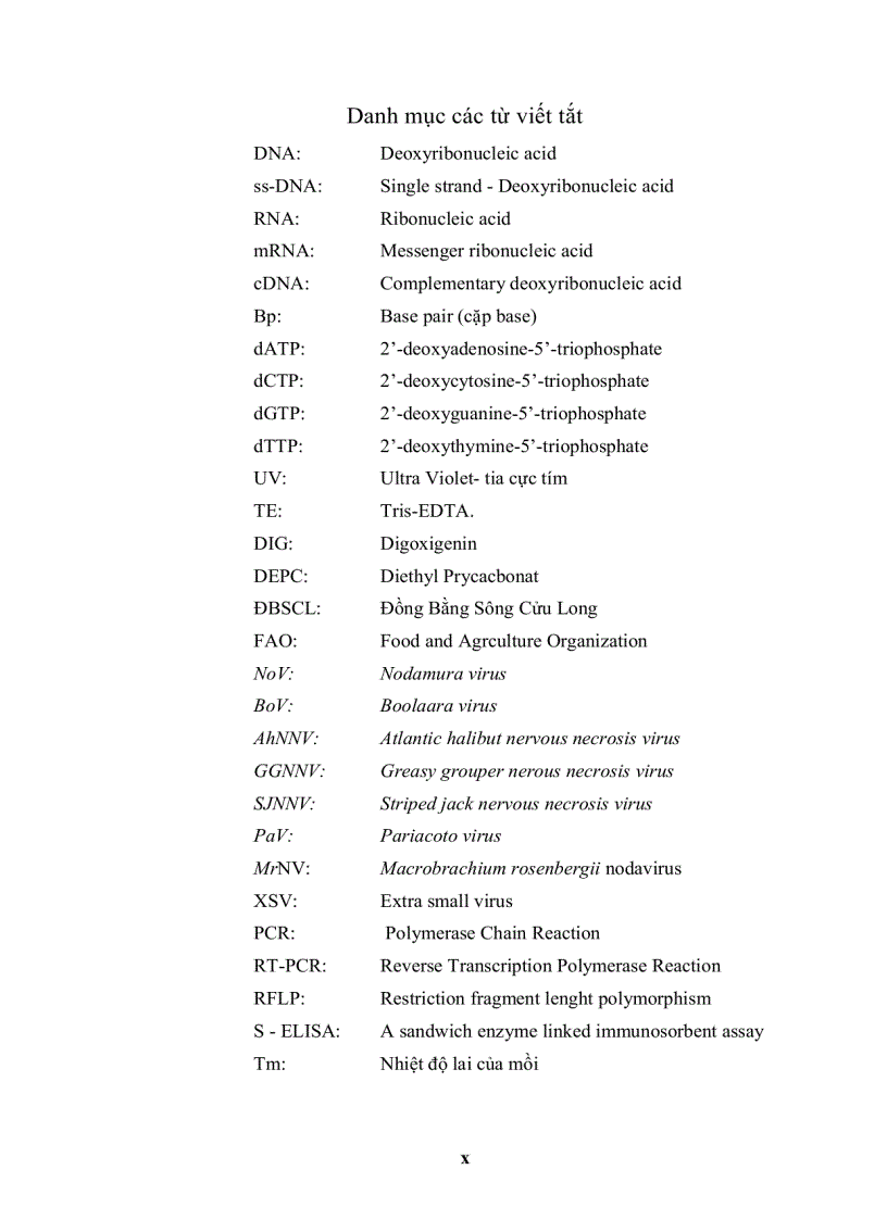 image for page ỨNG DỤNG KỸ THUẬT RT PCR XÁC ĐỊNH Macrobrachium rosenbergii NODAVIRUS MrNV VÀ EXTRA SMALL VIRUS XSV TRÊN TÔM CÀNG XANH Macrobrachium rosenbergii