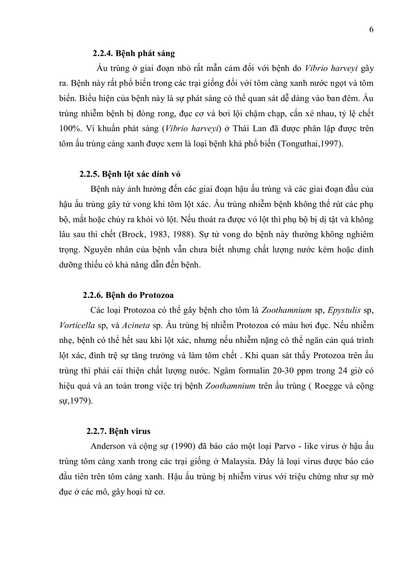 image for page ỨNG DỤNG KỸ THUẬT RT PCR XÁC ĐỊNH Macrobrachium rosenbergii NODAVIRUS MrNV VÀ EXTRA SMALL VIRUS XSV TRÊN TÔM CÀNG XANH Macrobrachium rosenbergii