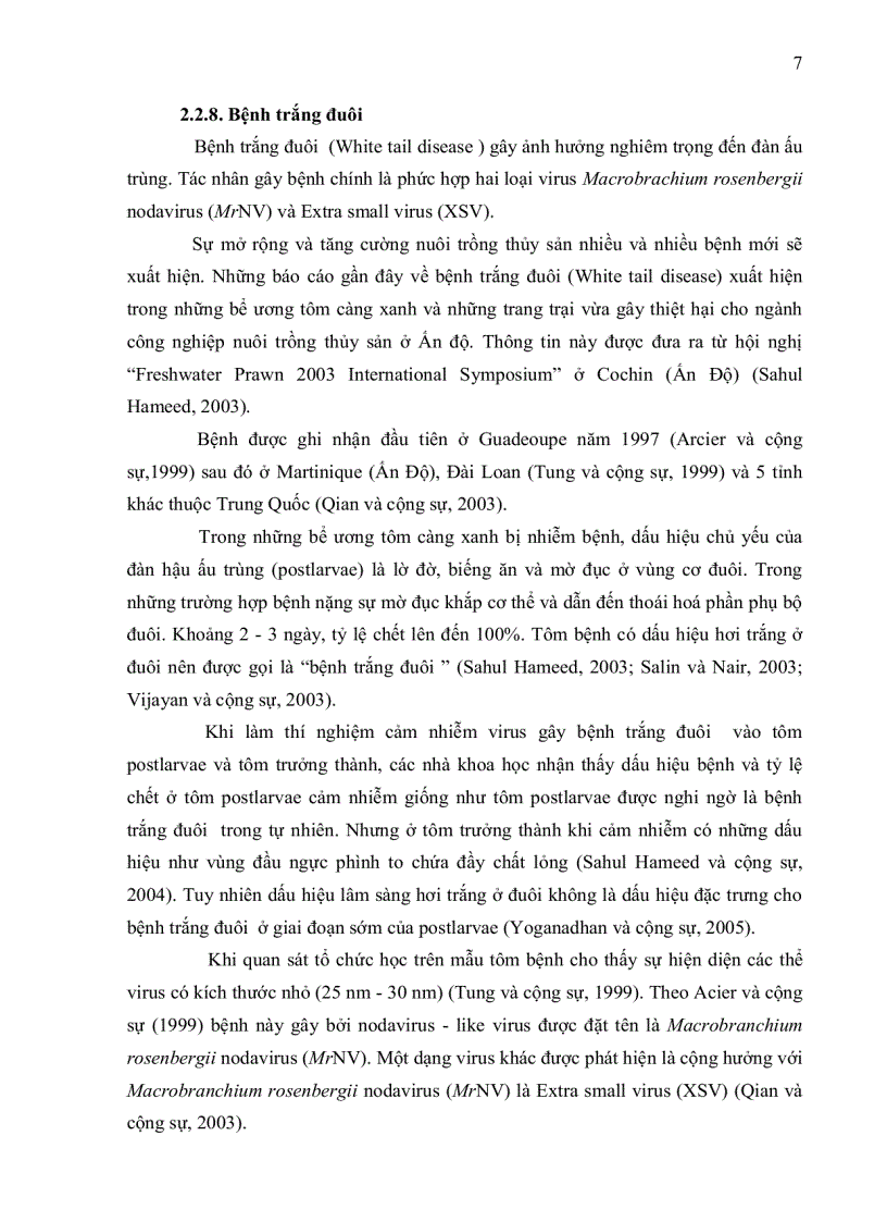 image for page ỨNG DỤNG KỸ THUẬT RT PCR XÁC ĐỊNH Macrobrachium rosenbergii NODAVIRUS MrNV VÀ EXTRA SMALL VIRUS XSV TRÊN TÔM CÀNG XANH Macrobrachium rosenbergii