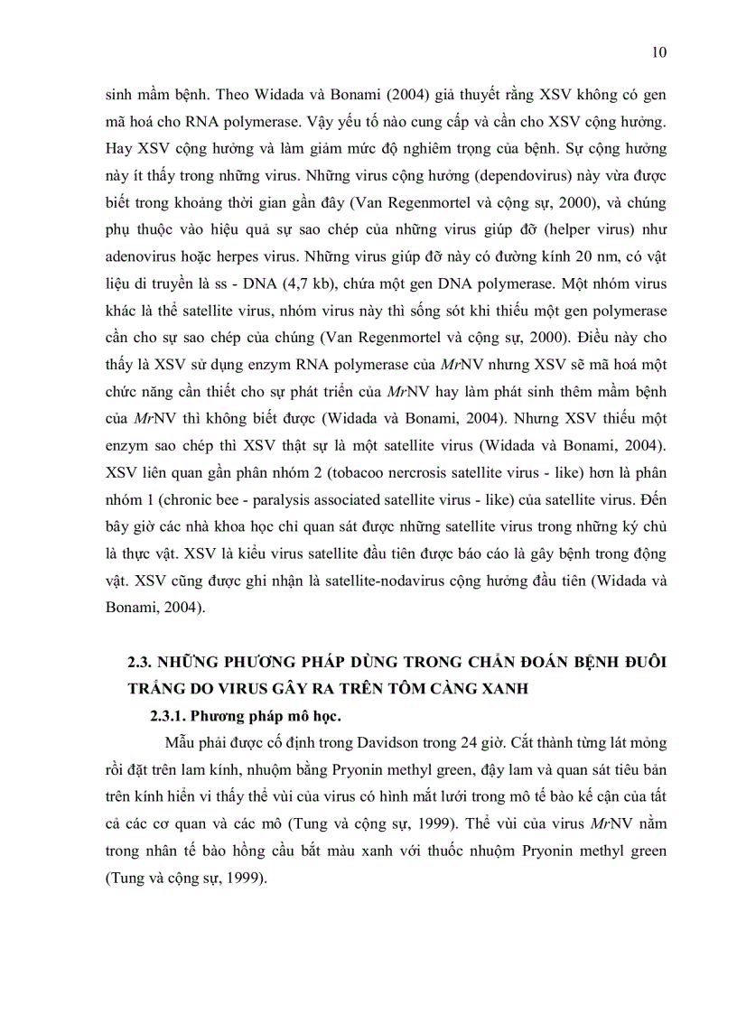 image for page ỨNG DỤNG KỸ THUẬT RT PCR XÁC ĐỊNH Macrobrachium rosenbergii NODAVIRUS MrNV VÀ EXTRA SMALL VIRUS XSV TRÊN TÔM CÀNG XANH Macrobrachium rosenbergii