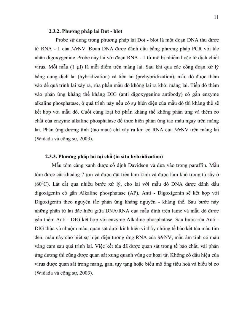 image for page ỨNG DỤNG KỸ THUẬT RT PCR XÁC ĐỊNH Macrobrachium rosenbergii NODAVIRUS MrNV VÀ EXTRA SMALL VIRUS XSV TRÊN TÔM CÀNG XANH Macrobrachium rosenbergii