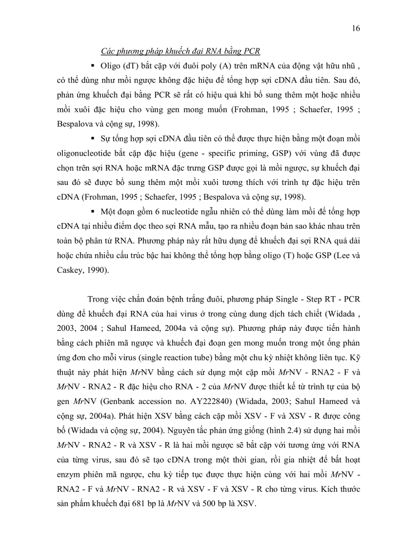 image for page ỨNG DỤNG KỸ THUẬT RT PCR XÁC ĐỊNH Macrobrachium rosenbergii NODAVIRUS MrNV VÀ EXTRA SMALL VIRUS XSV TRÊN TÔM CÀNG XANH Macrobrachium rosenbergii