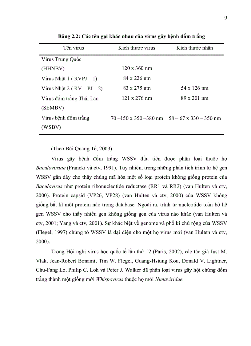image for page ỨNG DỤNG PHƯƠNG PHÁP IN SITU HYBRIDIZATION ĐỂ CHẨN ĐOÁN MẦM BỆNH WSSV White Spot Syndrome Virus TRÊN TÔM SÚ Penaeus monodon VÀ TSV Taura Syndrome
