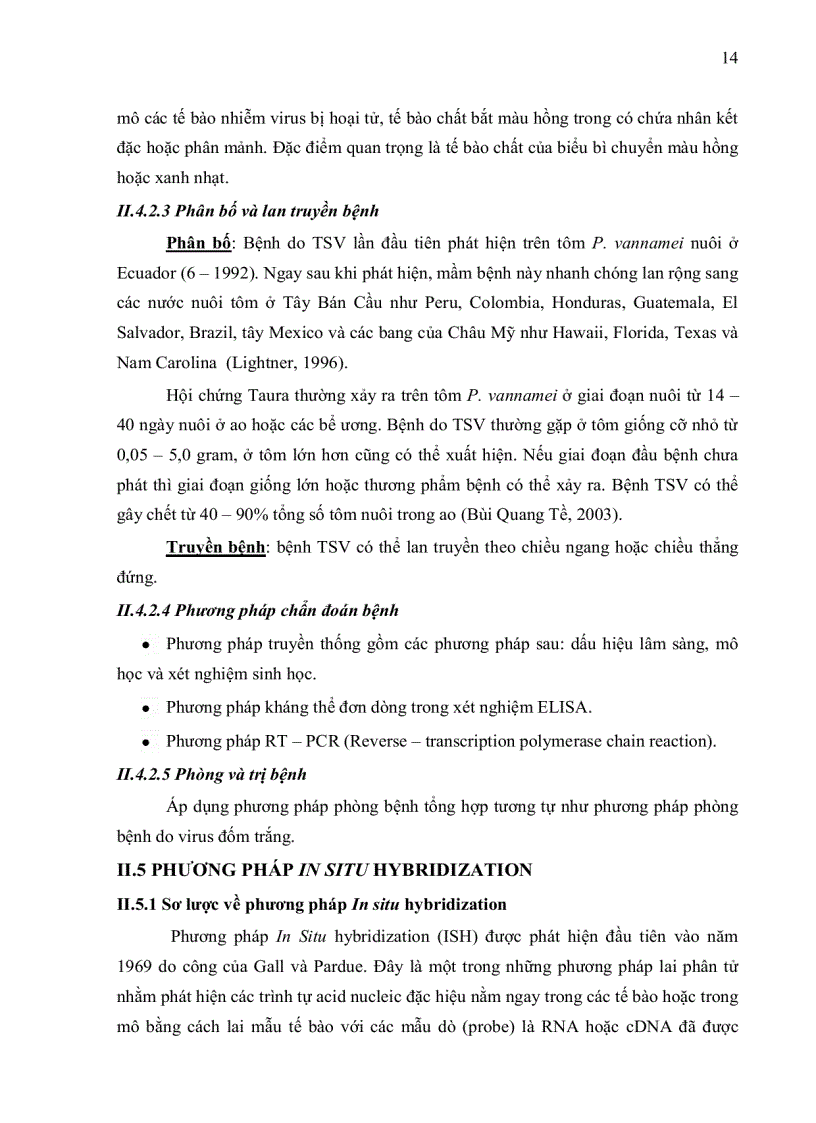 image for page ỨNG DỤNG PHƯƠNG PHÁP IN SITU HYBRIDIZATION ĐỂ CHẨN ĐOÁN MẦM BỆNH WSSV White Spot Syndrome Virus TRÊN TÔM SÚ Penaeus monodon VÀ TSV Taura Syndrome