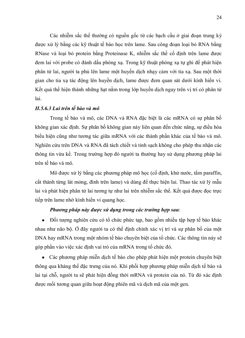 image for page ỨNG DỤNG PHƯƠNG PHÁP IN SITU HYBRIDIZATION ĐỂ CHẨN ĐOÁN MẦM BỆNH WSSV White Spot Syndrome Virus TRÊN TÔM SÚ Penaeus monodon VÀ TSV Taura Syndrome