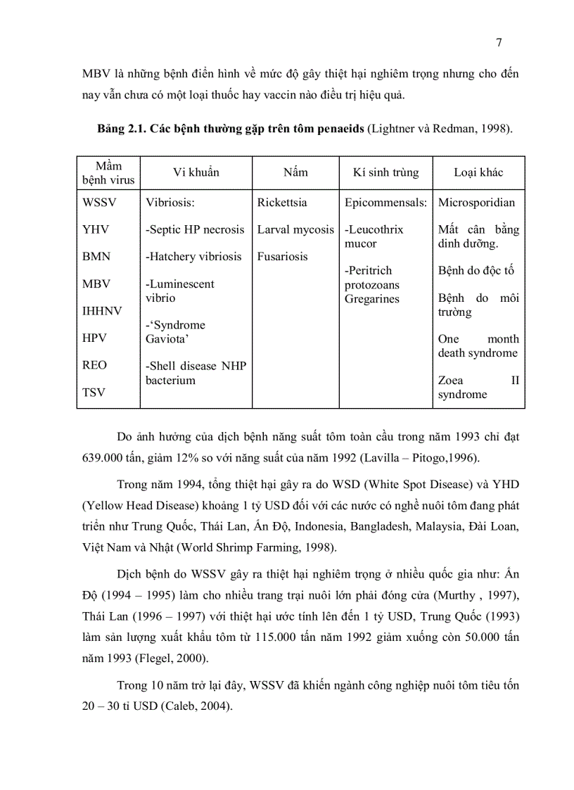 image for page ỨNG DỤNG KỸ THUẬT HÓA MÔ MIỄN DỊCH IMMUNOHISTOCHEMISTRY TRONG CHẨN ĐOÁN BỆNH ĐỐM TRẮNG White Spot Disease WSD TRÊN TÔM SÚ Penaeus monodon
