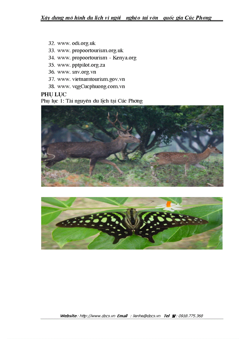 image for page Mô hình du lịch vì người nghèo tại vườn quốc gia Cúc Phương