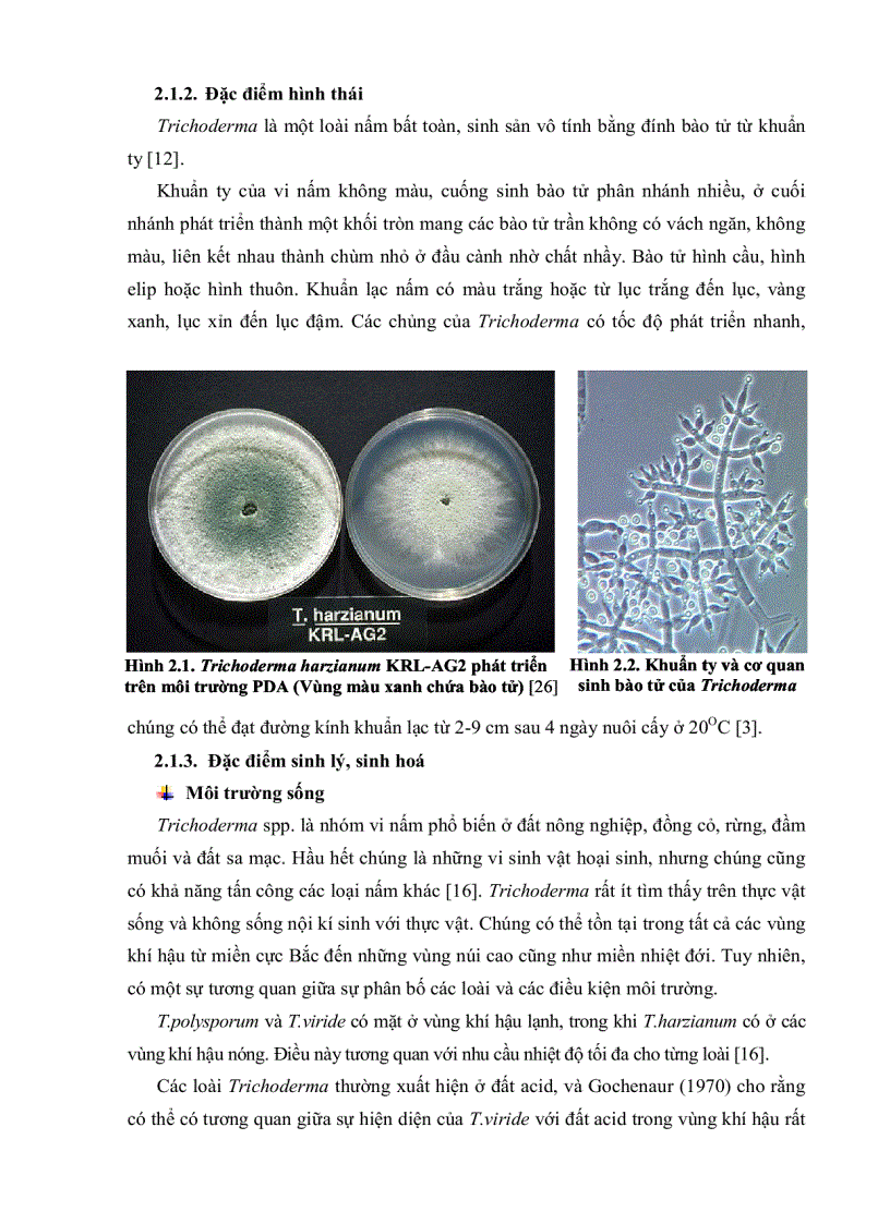 image for page BƯỚC ĐẦU KHẢO SÁT MỐI LIÊN HỆ GIỮA SỰ HIỆN DIỆN Trichoderma VÀ CÁC YẾU TỐ CỦA ĐẤT