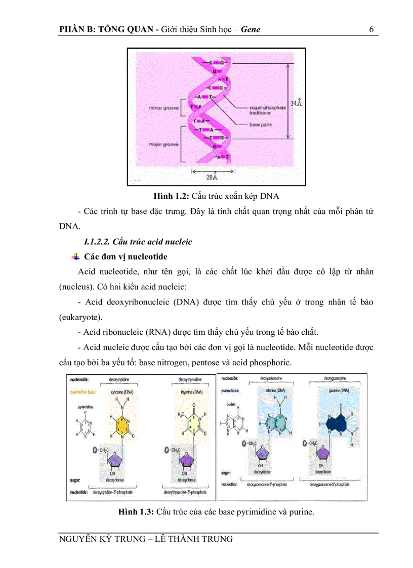 image for page Thu thập và tổ chức dữ liệu gene phục vụ nghiên cứu cây trồng biến đổi di truyền