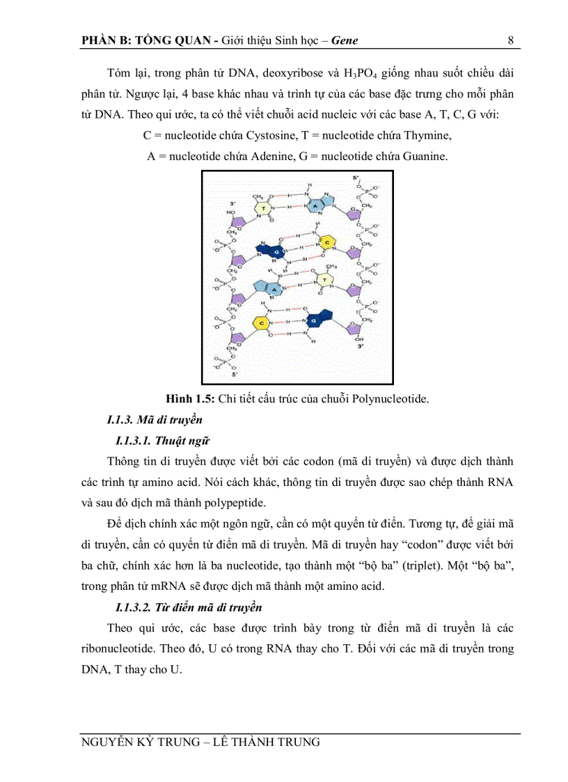 image for page Thu thập và tổ chức dữ liệu gene phục vụ nghiên cứu cây trồng biến đổi di truyền