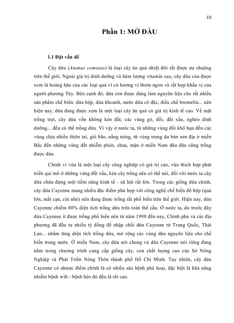 image for page XÂY DỰNG QUY TRÌNH PHÁT HIỆN VIRUS PMWaV 1 GÂY BỆNH HÉO ĐỎ ĐẦU LÁ Mealybug wilt TRÊN CÂY DỨA CAYENNE BẰNG PHƯƠNG PHÁP RT PCR