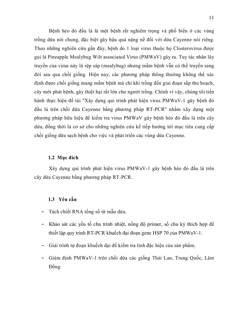 image for page XÂY DỰNG QUY TRÌNH PHÁT HIỆN VIRUS PMWaV 1 GÂY BỆNH HÉO ĐỎ ĐẦU LÁ Mealybug wilt TRÊN CÂY DỨA CAYENNE BẰNG PHƯƠNG PHÁP RT PCR