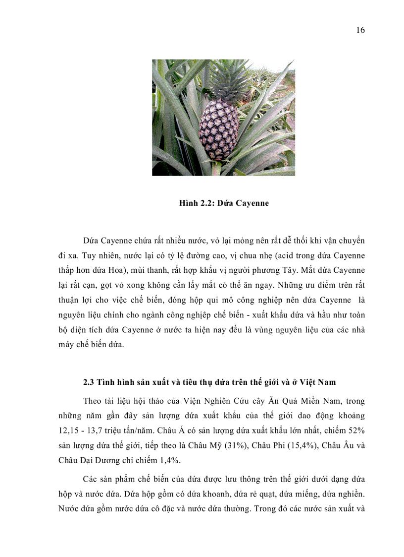 image for page XÂY DỰNG QUY TRÌNH PHÁT HIỆN VIRUS PMWaV 1 GÂY BỆNH HÉO ĐỎ ĐẦU LÁ Mealybug wilt TRÊN CÂY DỨA CAYENNE BẰNG PHƯƠNG PHÁP RT PCR