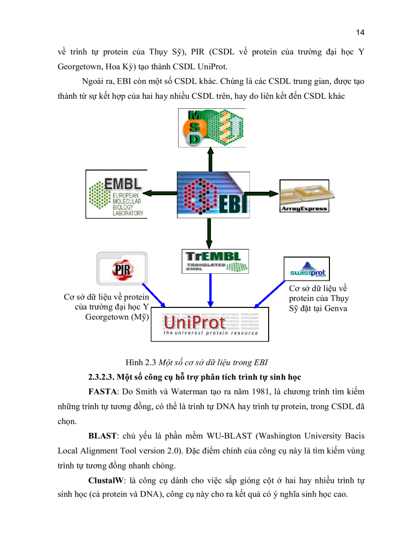 image for page XÂY DỰNG CƠ SỞ DỮ LIỆU HAI GENE HSP 70 và REVERSE TRANSCRIPTE RNaseH Ở MỘT SỐ LOÀI VIRUS THỰC VẬT