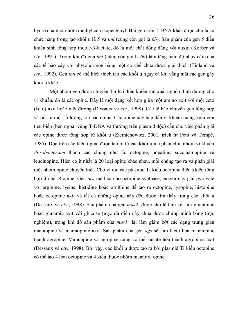 image for page NGHIÊN CỨU KHẢ NĂNG CHUYỂN NẠP GEN CỦA HAI GIỐNG BÔNG VẢI SSR60F VÀ COKER 312 BẰNG VI KHUẨN Agrobacterium tumefaciens