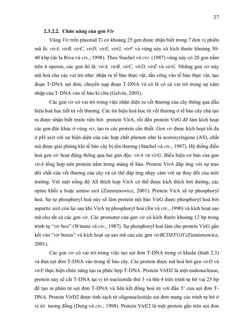 image for page NGHIÊN CỨU KHẢ NĂNG CHUYỂN NẠP GEN CỦA HAI GIỐNG BÔNG VẢI SSR60F VÀ COKER 312 BẰNG VI KHUẨN Agrobacterium tumefaciens