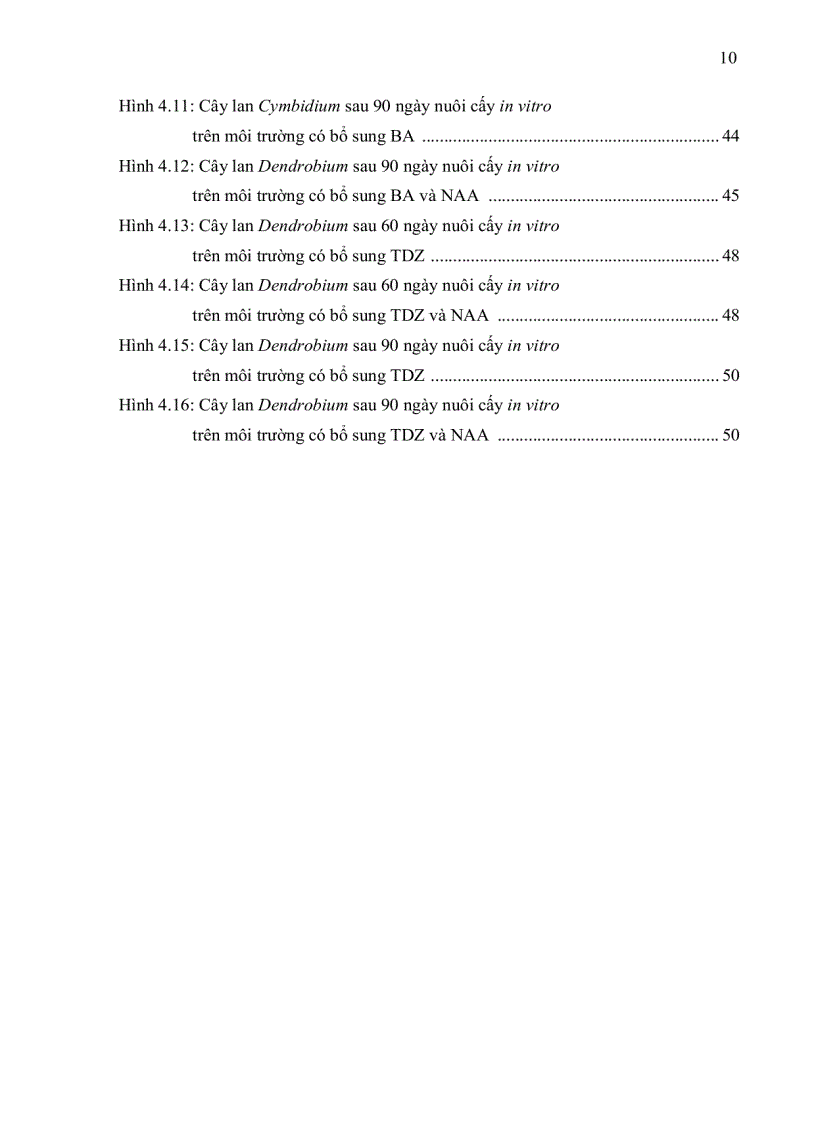 image for page Ảnh hưởng của các chất điều hòa sinh trưởng đến quá trình nuôi cấy in vitro của hai giống lan dendrobium và cymbidium