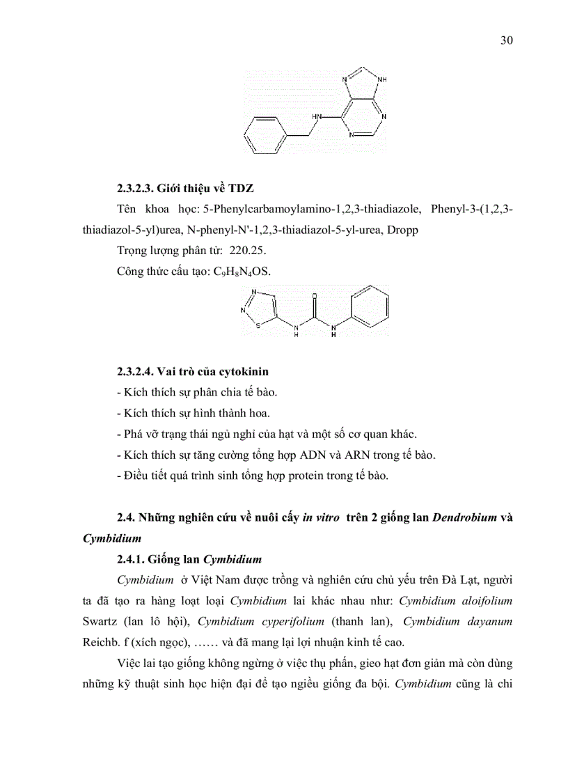 image for page Ảnh hưởng của các chất điều hòa sinh trưởng đến quá trình nuôi cấy in vitro của hai giống lan dendrobium và cymbidium