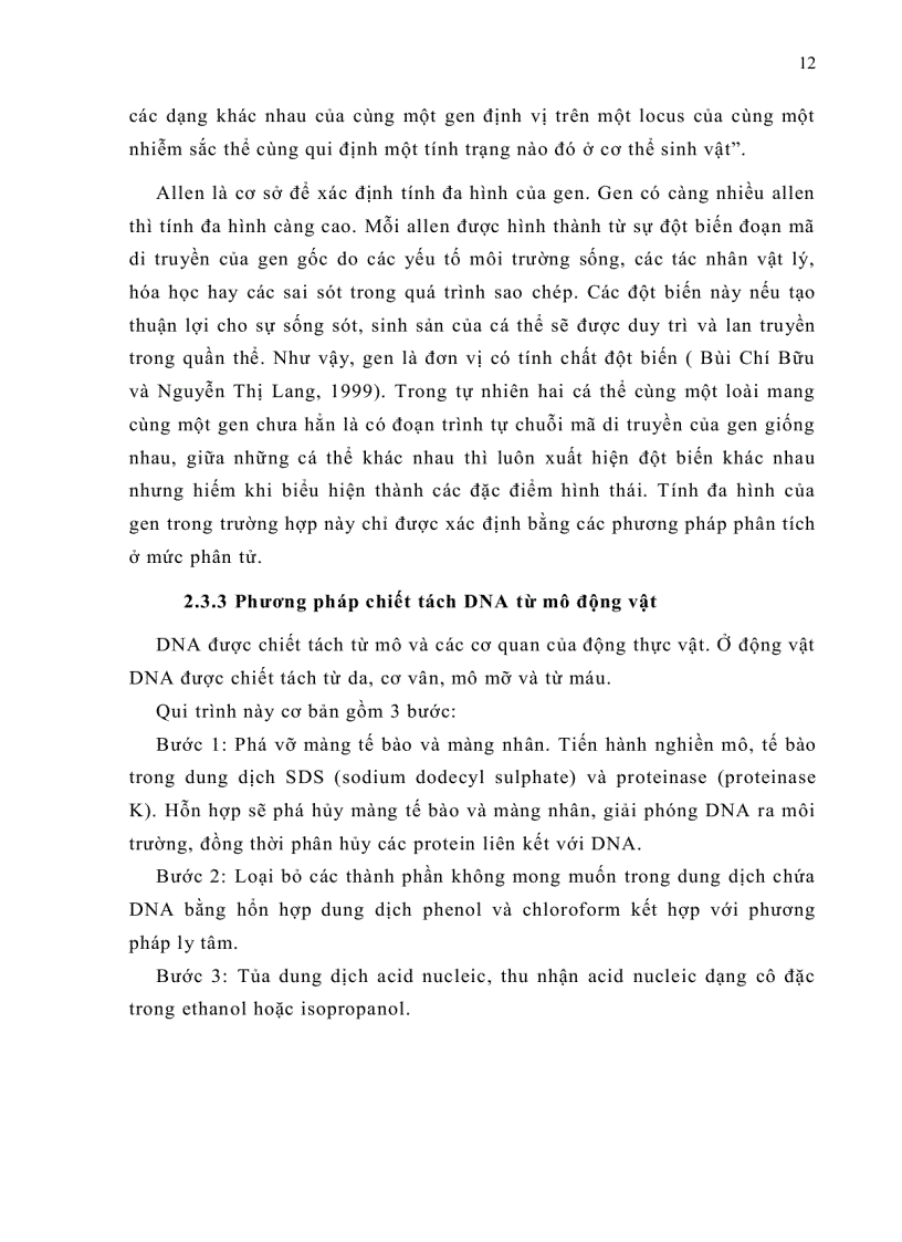 image for page Ứng dụng kỹ thuật PCR RFLP xác định các kiểu gen thụ thể prolactin trên giống heo Yorkshire