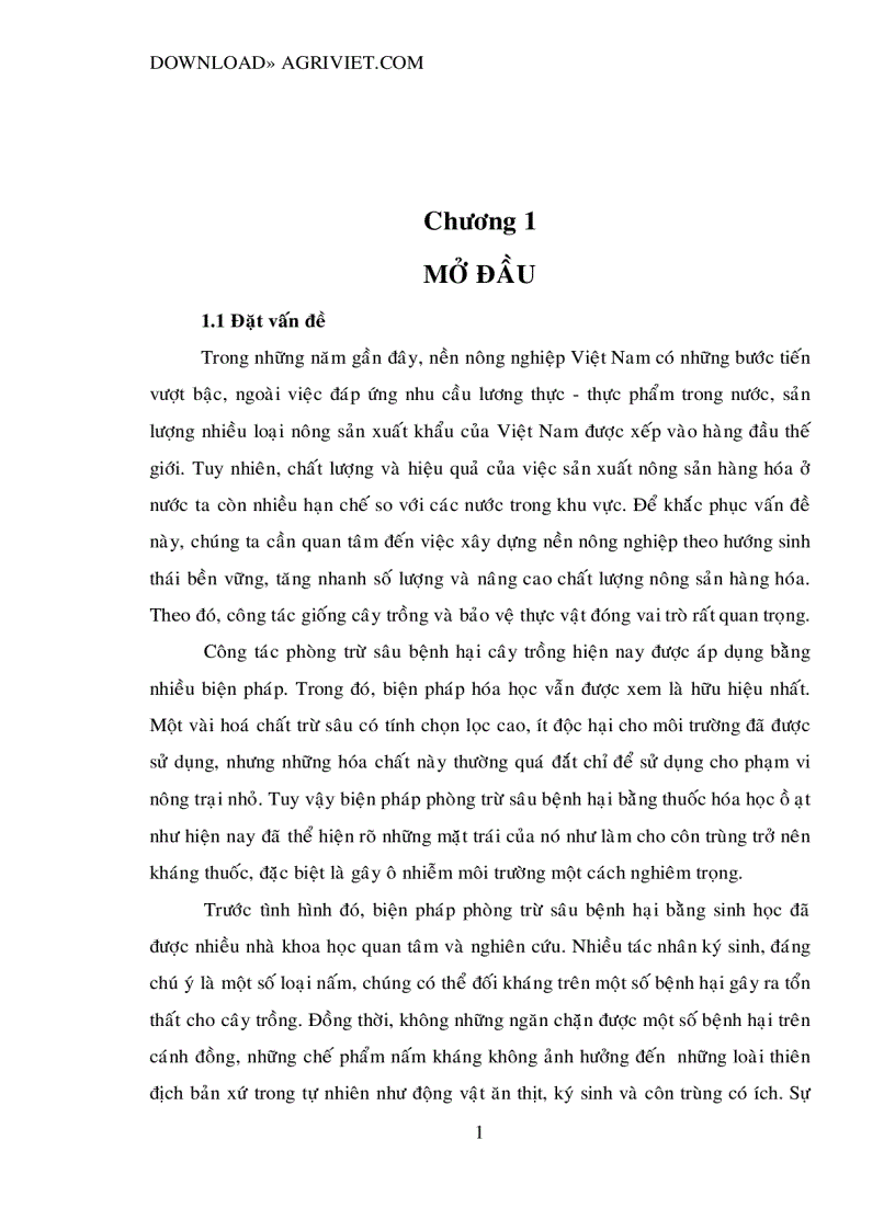 image for page Chọn lọc và nhân sinh khối nấm Trichodema đối kháng với nấm gây hại cây trồng 123trang