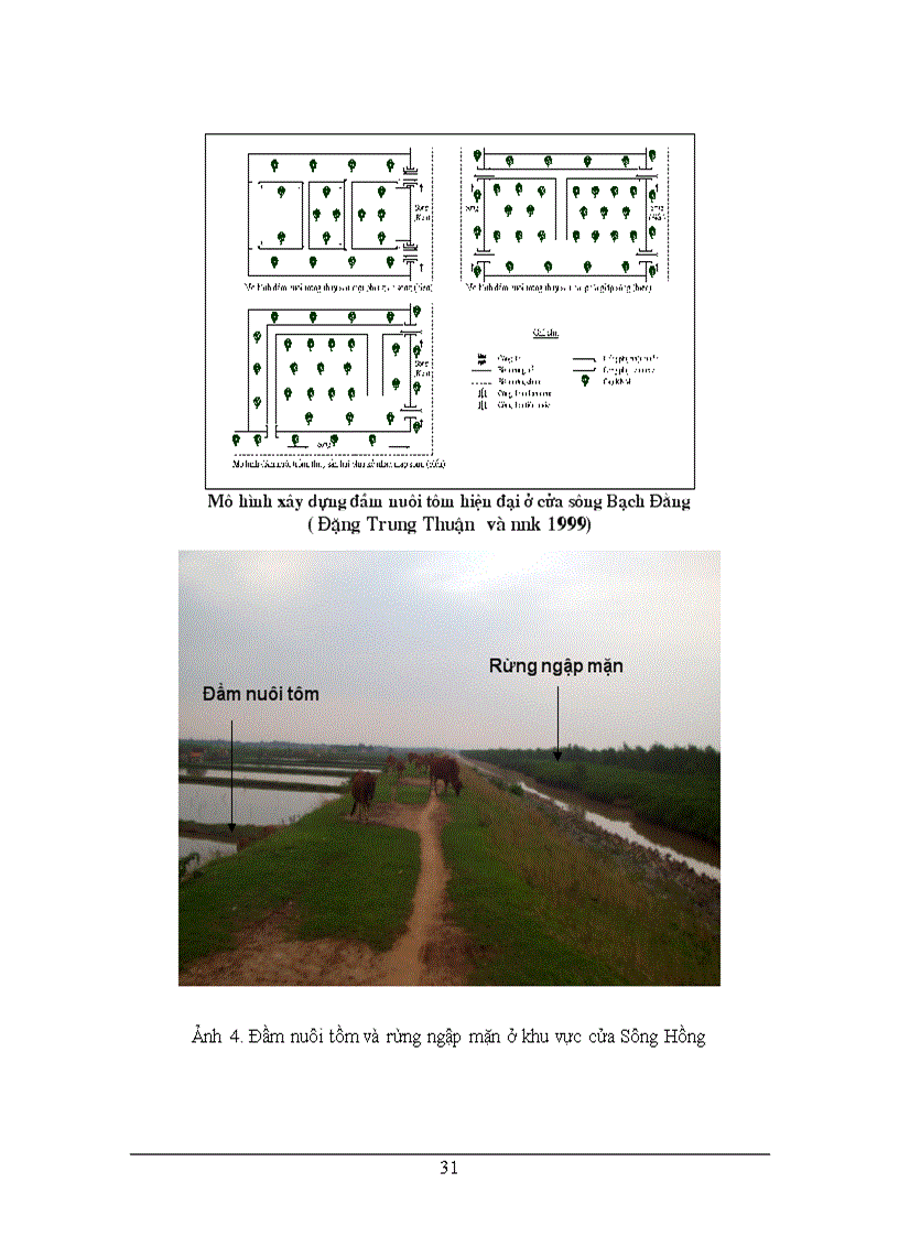 image for page Nghiên cứu sự phân dị trầm tích bãi triều khi chuyển đổi môi trường rừng ngập mặn thành đầm nuôi tôm bằng phương pháp phân tích thành phần chính