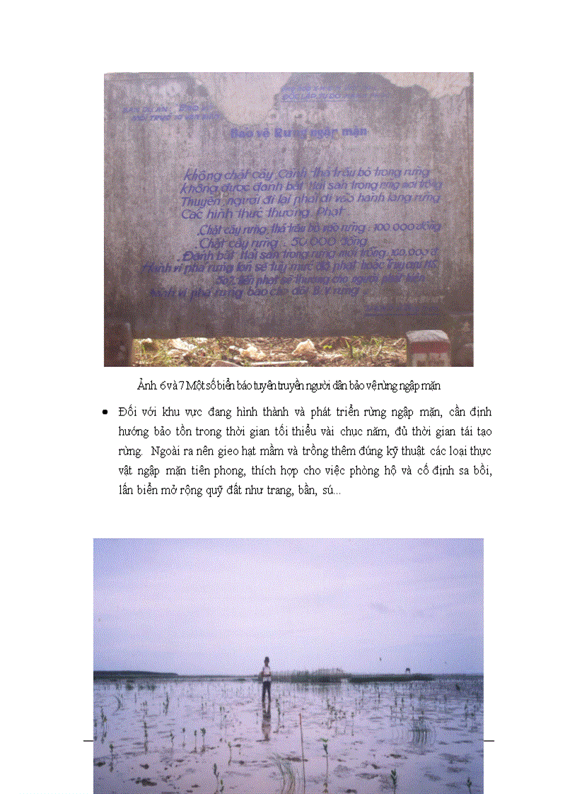 image for page Nghiên cứu sự phân dị trầm tích bãi triều khi chuyển đổi môi trường rừng ngập mặn thành đầm nuôi tôm bằng phương pháp phân tích thành phần chính