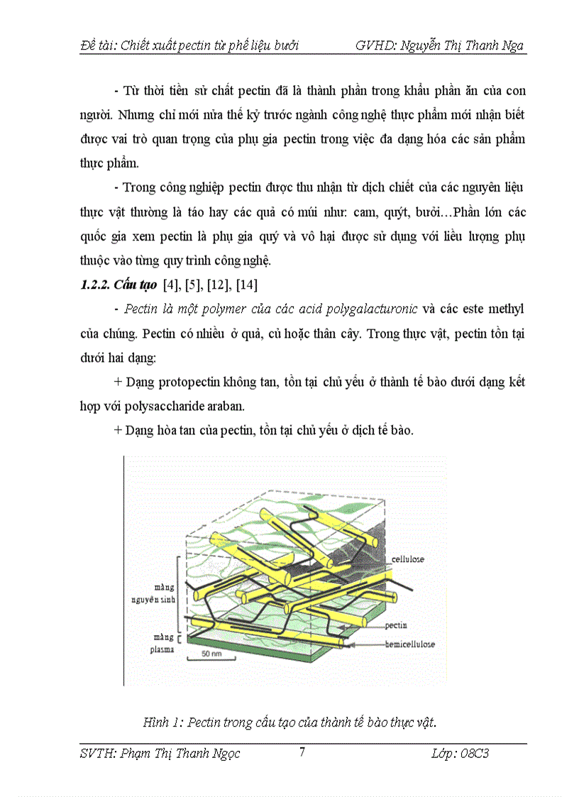 image for page Chiết xuất pectin từ phế liệu bưởi