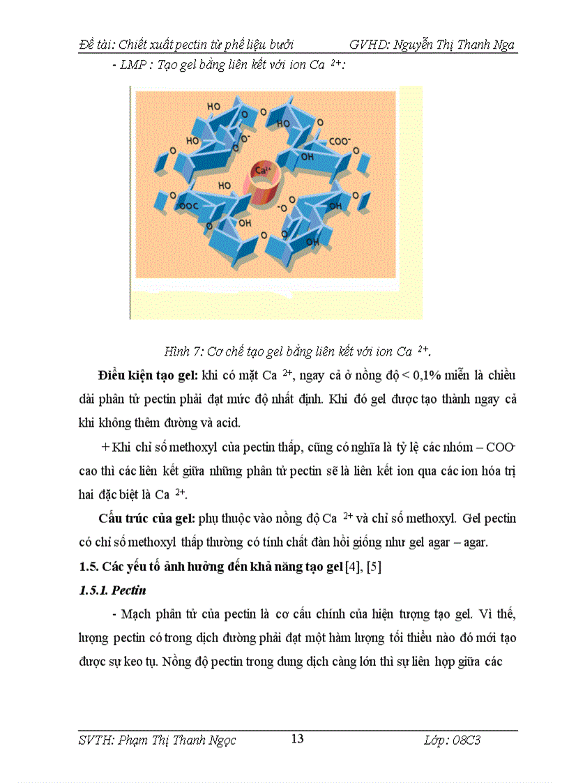 image for page Chiết xuất pectin từ phế liệu bưởi