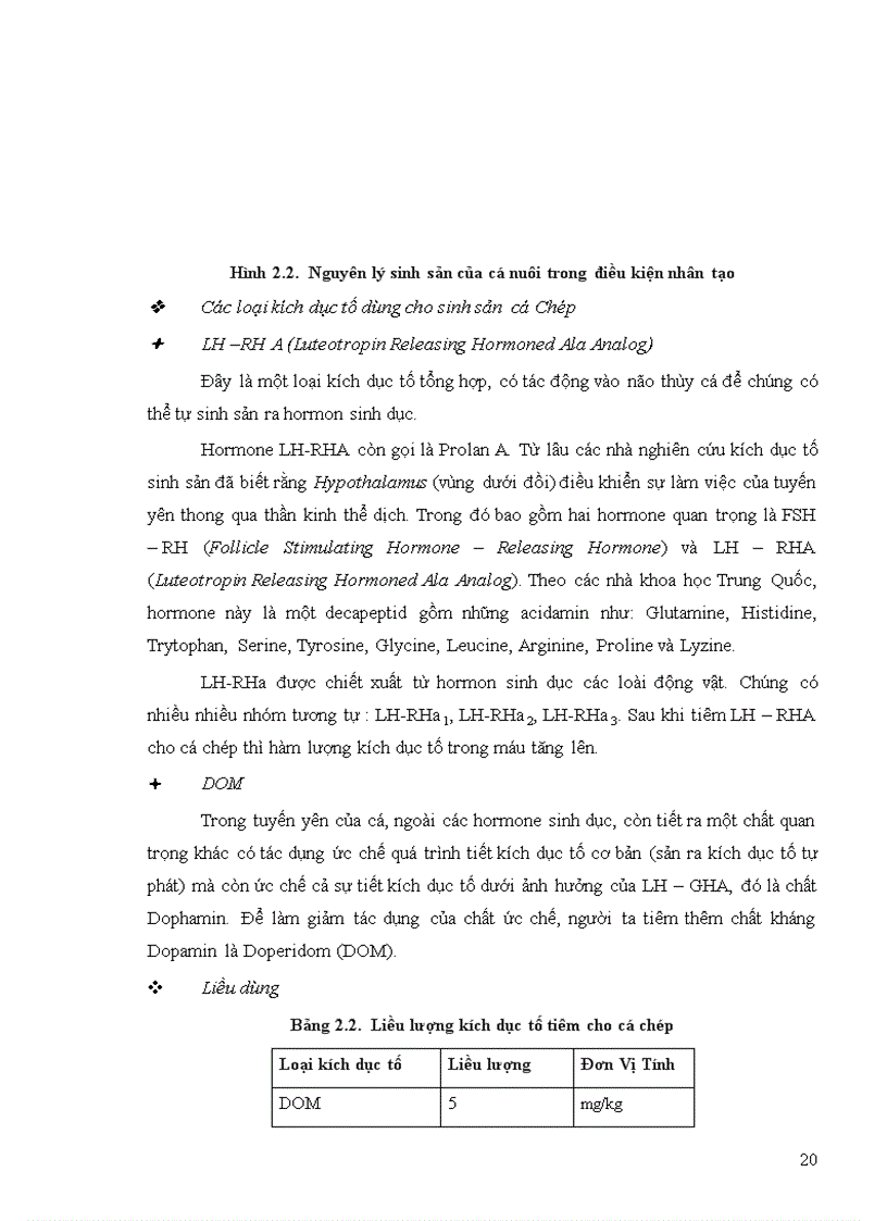 image for page Kỹ thuật sản xuất giống cá chép giống